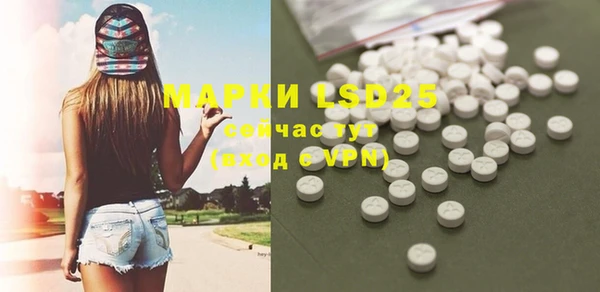 индика Пересвет