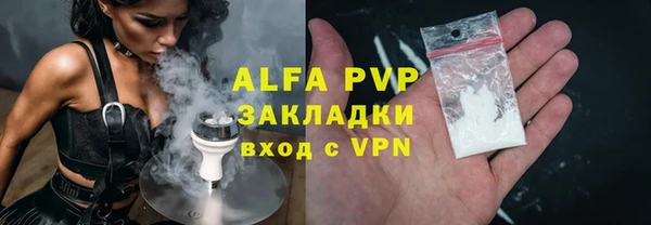 индика Пересвет