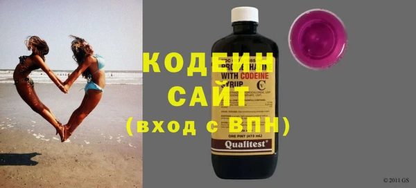 индика Пересвет